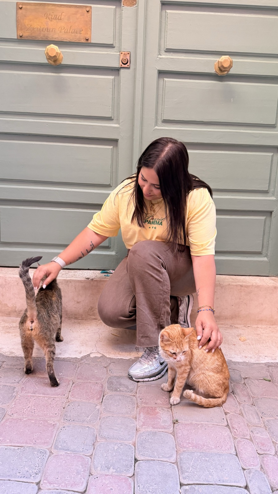 Desirée dando de comer en una colonia