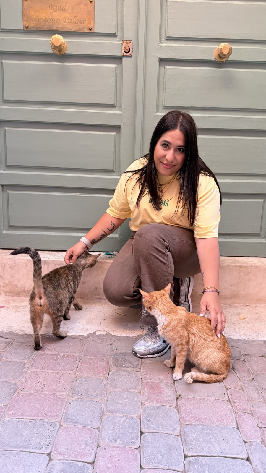 Cuidando a los gatos de una colonia