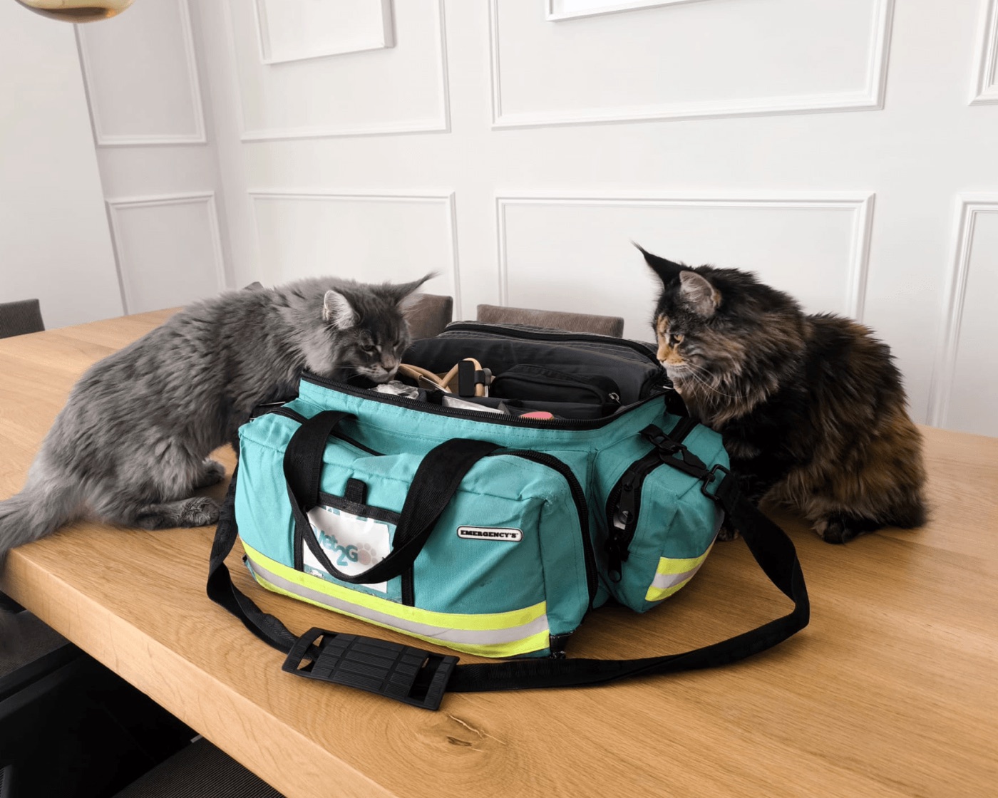 Dos gatos curioseando el maletín de Vet2Go